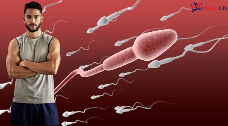 Does Releasing Sperm Affect Muscle Growth
